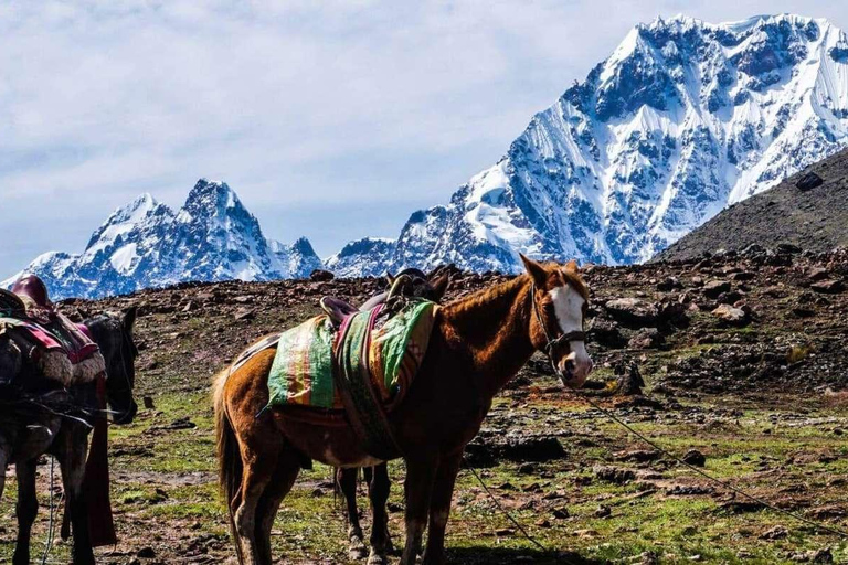 Desde Cusco: Tour de día completo a las 7 Lagunas de Ausangate