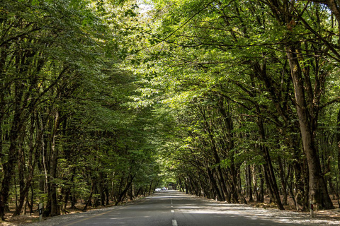 Baku: Candy Cane Mountains, Khizi & Shahdag Mountain Resort