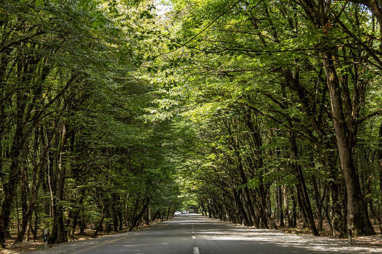 Baku: Candy Cane Mountains, Khizi & Shahdag Mountain Resort