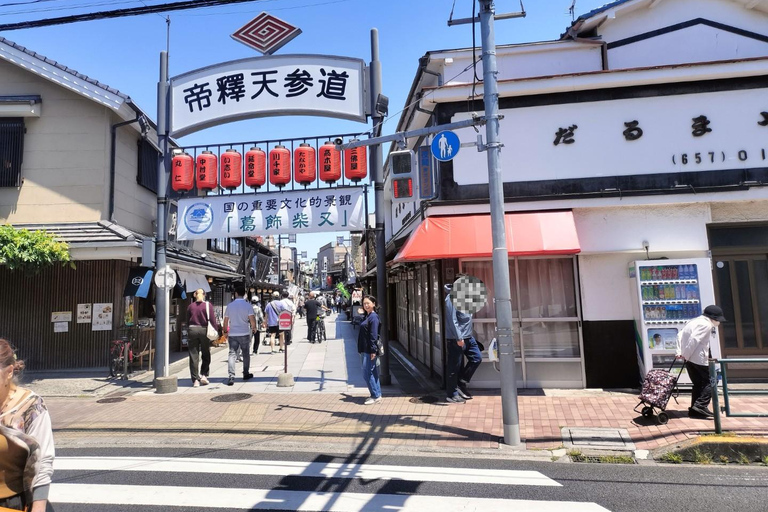 Tokyo: Ginza to Shibamata Walking Tour with Guide