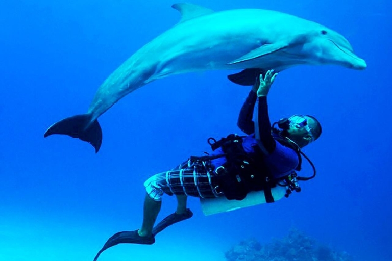 Marsa Alam: Sataya Reefs - delfiny, snorkeling i lunchMarsa Alam: Sataya Reefs - delfiny, nurkowanie i lunch