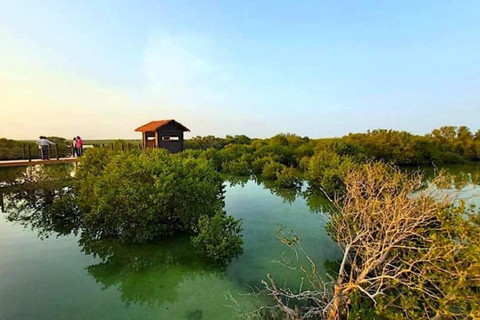 From Doha: Private Al Jassasiya, Zubarah & Purple Island. Private Tour