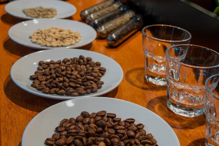 Buenos Aires : visite guidée avec dégustation de café