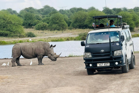 Nairobi National Park Safari Game Drive in a 4x4 Nairobi: National Park 5 Hours Safari in a Shared 4x4 Jeep