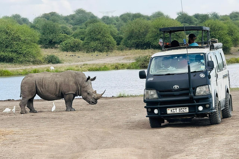 Nairobi National Park Safari Game Drive in a 4x4 Nairobi: National Park 5 Hours Safari in a Shared 4x4 Jeep