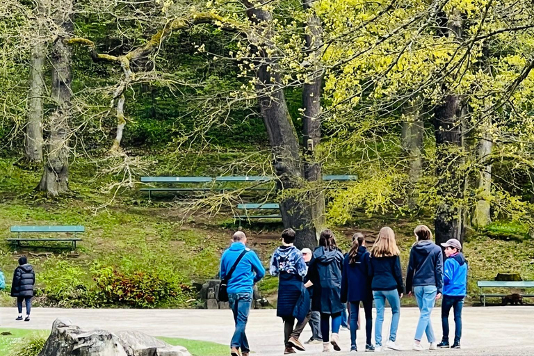 كاسل: جولة الهروب من المدينة - جولة غامضة مع قصةكاسل: جولة الهروب من المدينة - جولة محيرة مع قصة