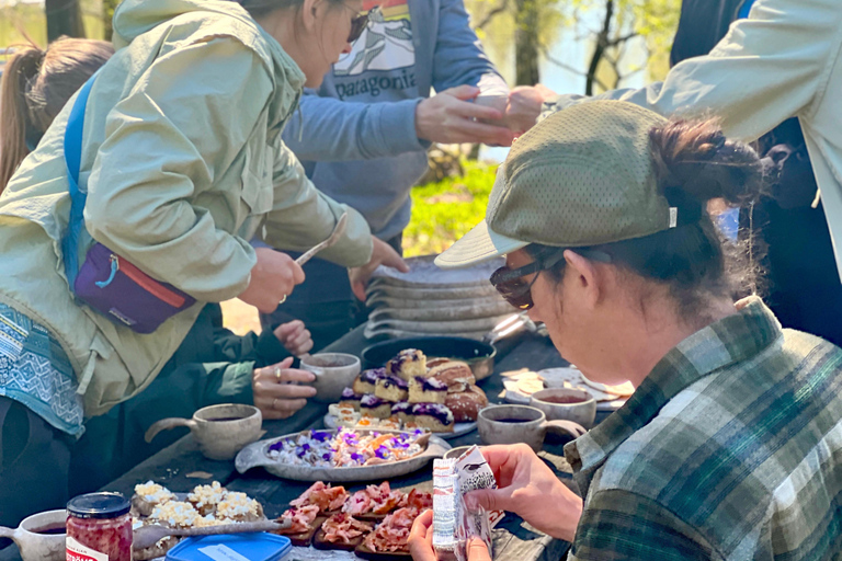 Bocados Bálticos: Una Experiencia Culinaria en la Naturaleza en Helsinki