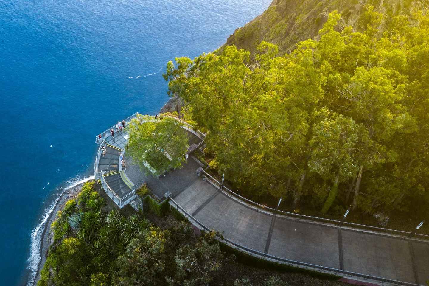Madère: excursion privée à terre depuis le port de croisière de Funchal