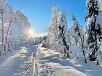 Oslo, Schneewanderung nach Vettakollen mit Blick auf den Oslofjord - Hizvo