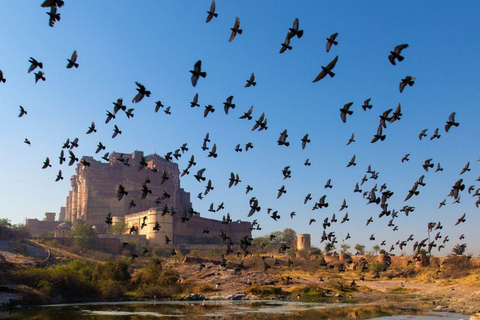 Jodhpur & Jaisalmer: Multi-Day Tour with Music Workshops