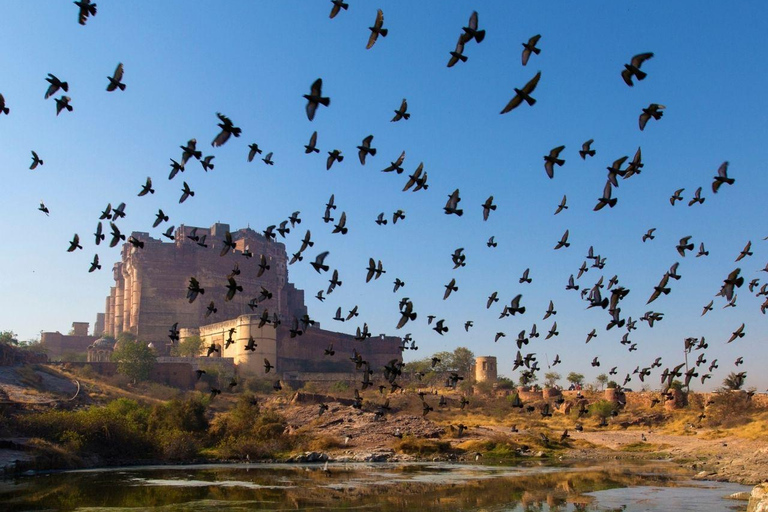 Jodhpur & Jaisalmer: Multi-Day Tour with Music Workshops