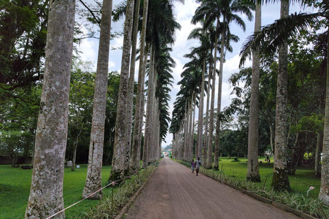 Gana: Excursão a Accra, Parque Nacional Mole e Costa do Cabo