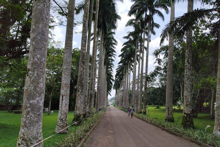 Ghana: Accra, Mole Nationaal Park en Cape Coast Tour