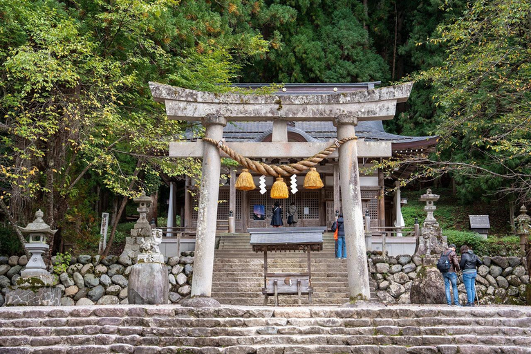 Kanazawa: Shirakawa-go privé-dagtour met lunch