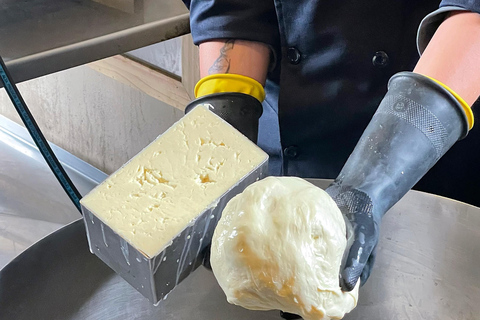 基多：玫瑰、奶酪与火山景观科托帕希一日游基多：玫瑰、奶酪与科托帕希火山一日游