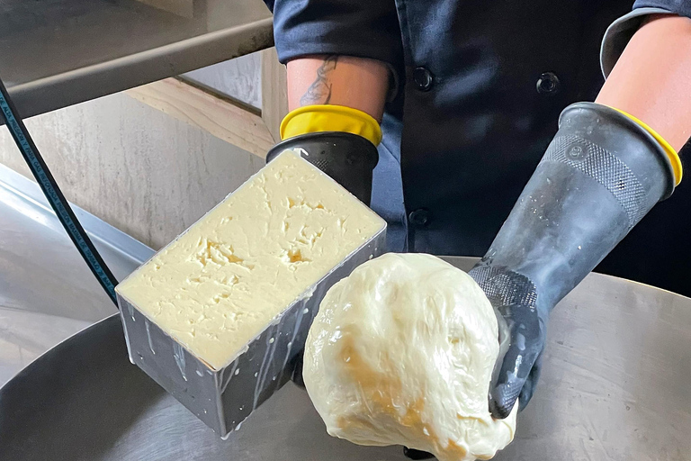 基多：玫瑰、奶酪与火山景观科托帕希一日游基多：玫瑰、奶酪与科托帕希火山一日游