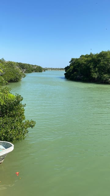 Natural Experience Rio Lagartos and Las Coloradas. | GetYourGuide