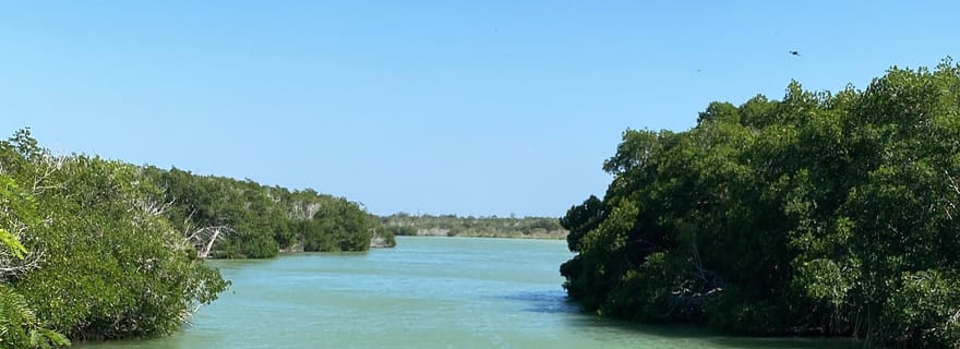 Río Lagartos et Las Coloradas : une expérience naturelle et sauvage