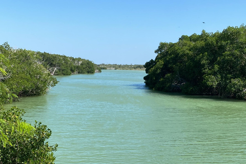 Natural Experience Rio Lagartos and Las Coloradas.