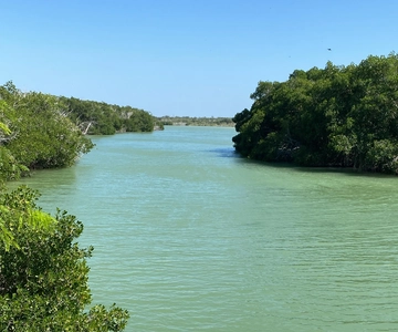Experiencia Natural Río Lagartos y Las Coloradas.