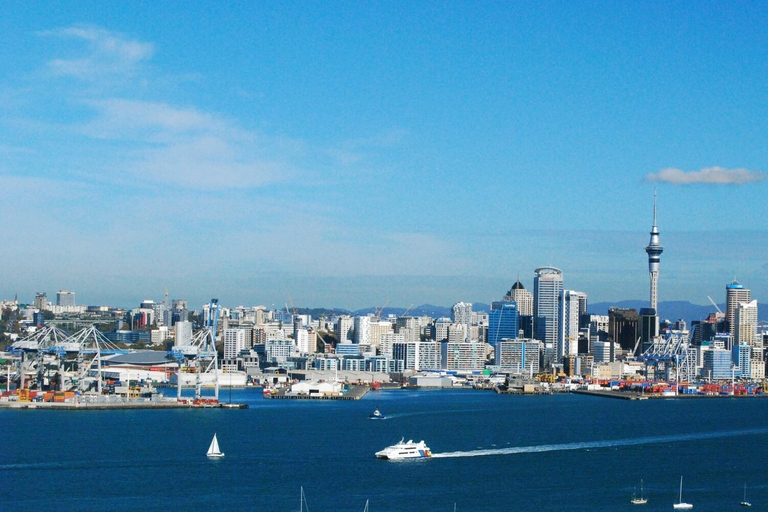 Tour di mezza giornata dei luoghi più interessanti della città di Auckland (tour per piccoli gruppi)