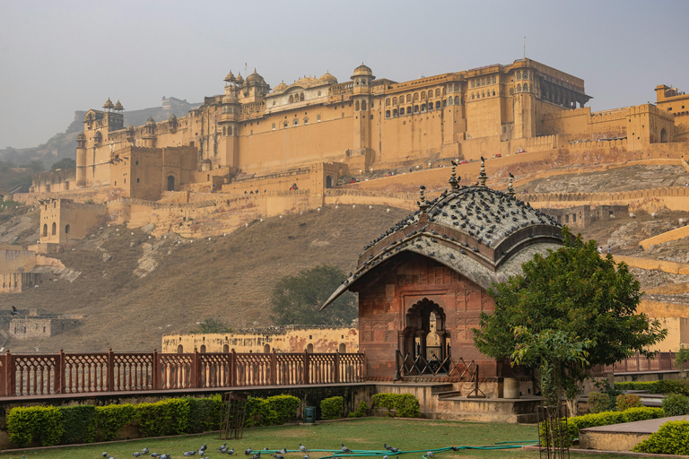 Jaipur: Amber Fort Guided Walking Tour Walking Tour with Guide & Entrance Ticket