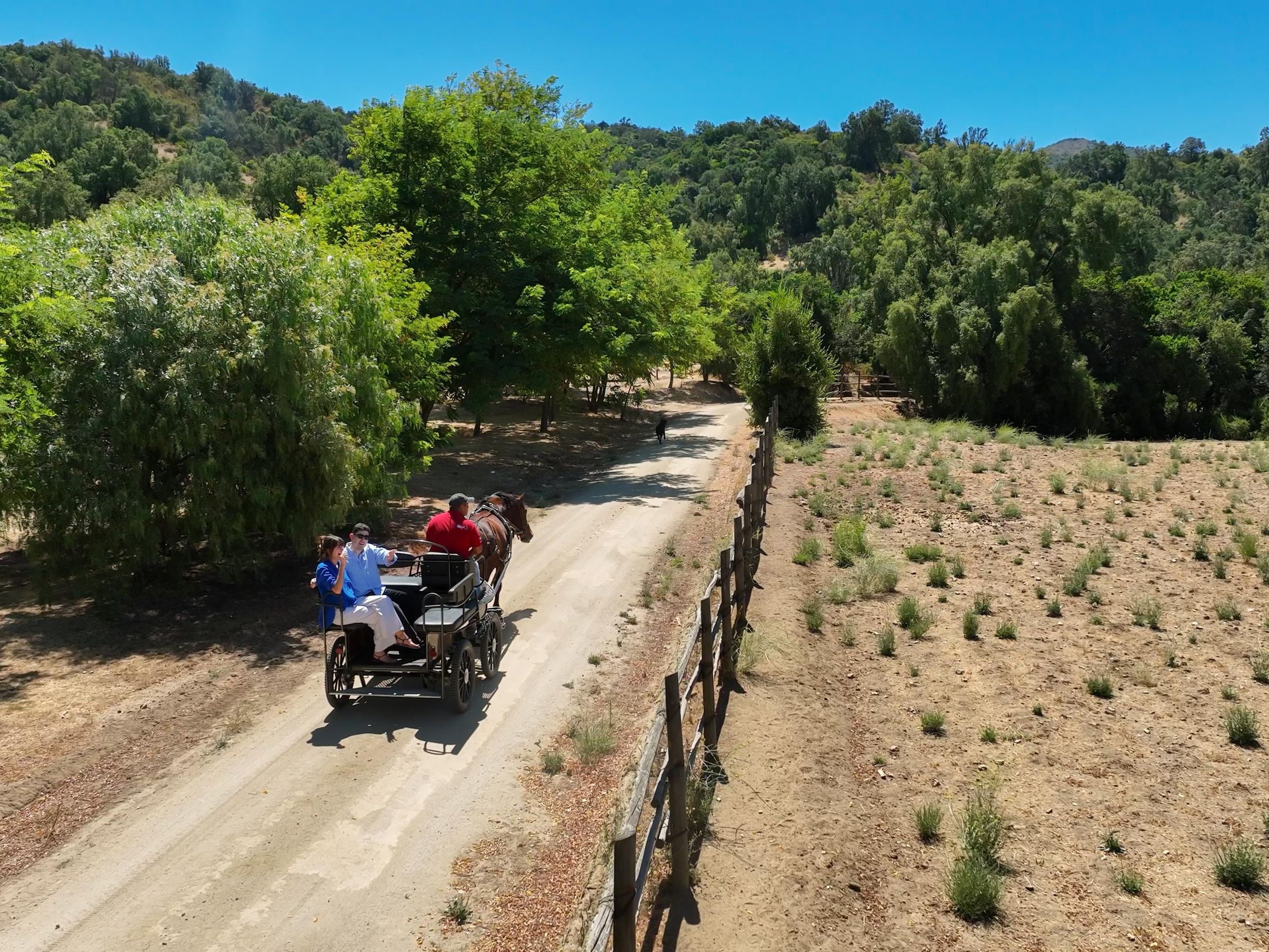 Viña Lopez Pangue: Private Tour mit Weinprobe + Käseplatte