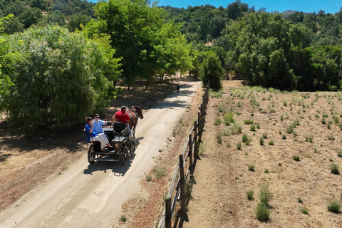Curacaví Valley: Private Wine Tour of Viña Lopez Pangue and El Cuadro Curacaví Valley: Private Wine Route Tour - Viña Lopez Pangue and El Cuadro