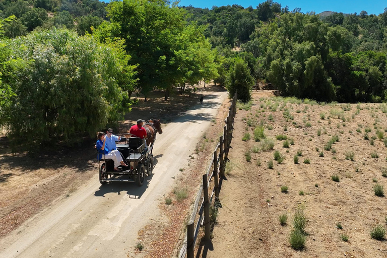 Curacaví Valley: Private Wine Tour of Viña Lopez Pangue and El Cuadro Curacaví Valley: Private Wine Route Tour - Viña Lopez Pangue and El Cuadro