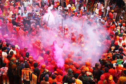 Holi Festivities &amp; Delhi Sightseeing: Same-Day AdventureTour with Transportation and Guide only