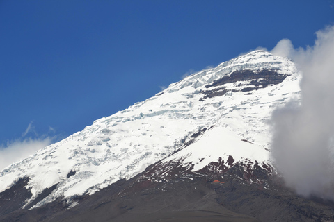 基多：玫瑰、奶酪与火山景观科托帕希一日游基多：玫瑰、奶酪与科托帕希火山一日游