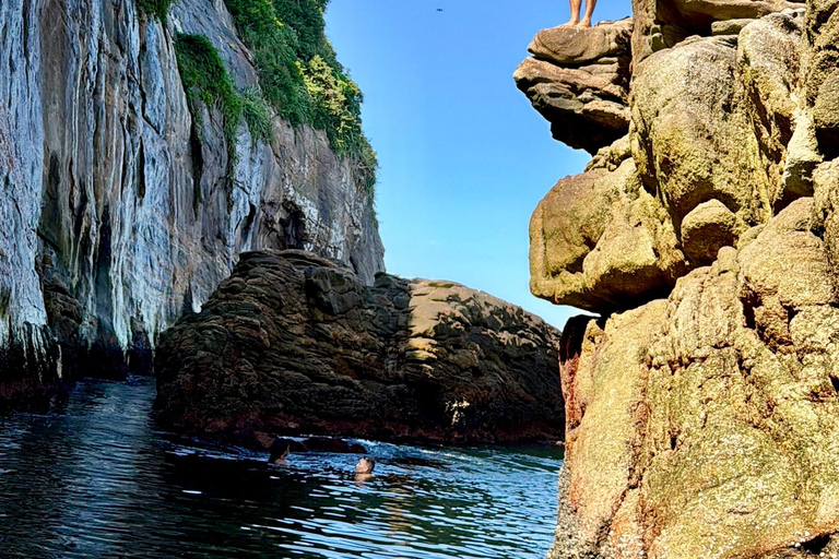 Exclusive Experience in Rio's Secret Paradise with Turtles and Stand-Up Paddleboarding