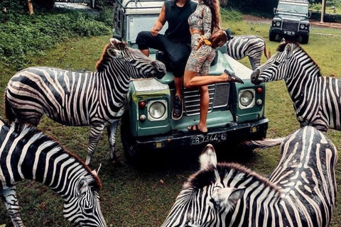 Bali: Safari Park and Tegenungan Waterfall Day Trip