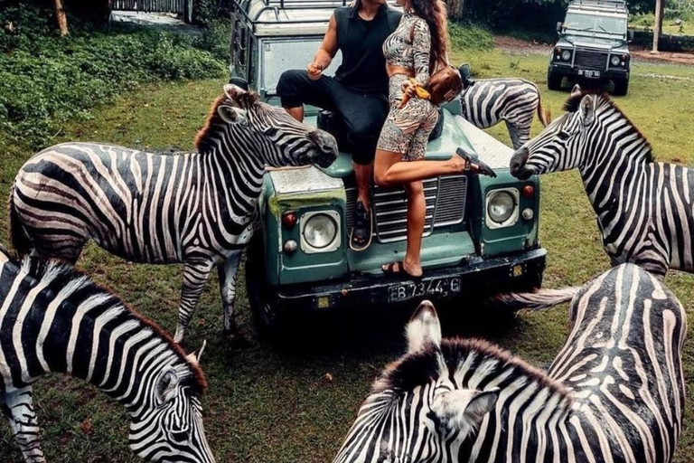 Bali: Safari Park and Tegenungan Waterfall Day Trip