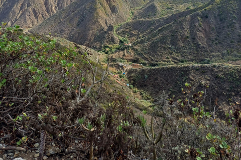 Tenerife: Private Anaga Forest, La Laguna & North Villages Private Tour Tenerife: Anaga, Taganana, Benijo & La laguna