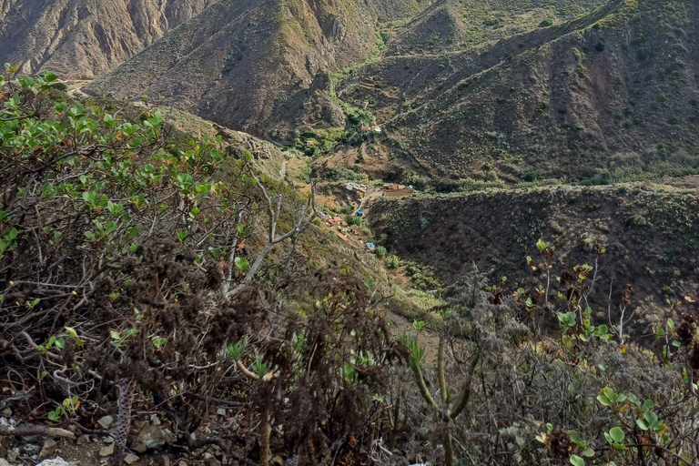 Tenerife: Private Anaga Forest, La Laguna & North Villages Private Tour Tenerife: Anaga, Taganana, Benijo & La laguna