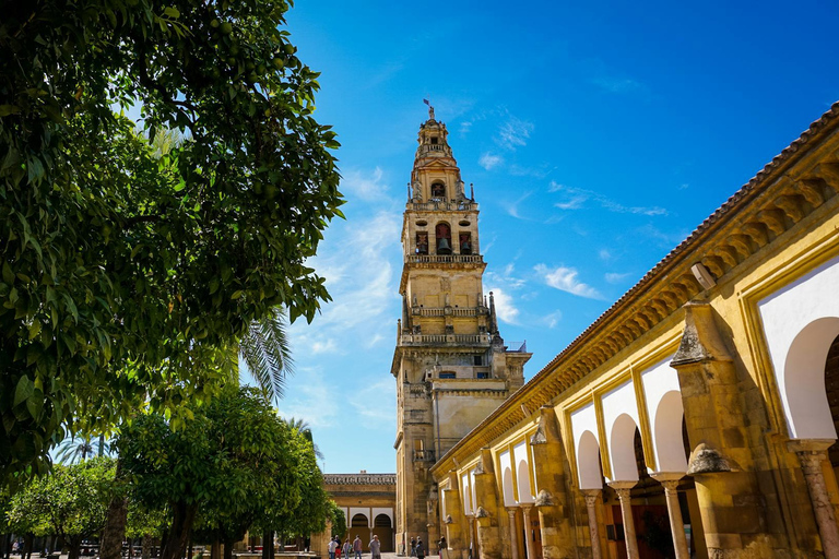 Córdoba Monumental Tour: Your First Introduction to Córdoba Córdoba Monumental Tour: Your First Introduction to Córdoba