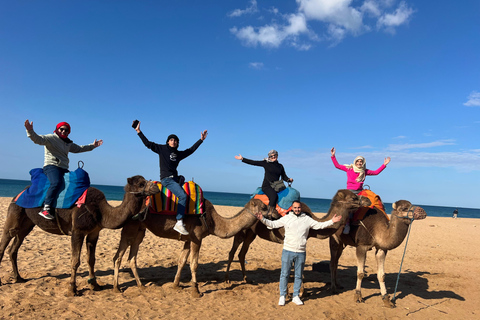 Explore Tangier: Guided City Tour and Seaside Camel Ride Pick up from the cruise terminal