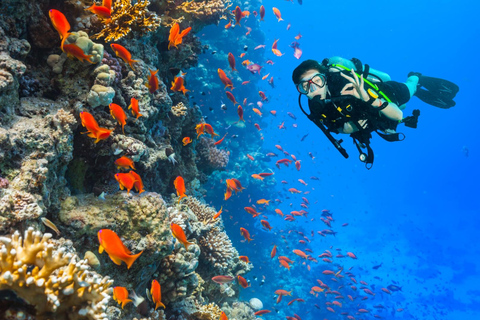 Eilat: Intro to Diving with Certified Instructor