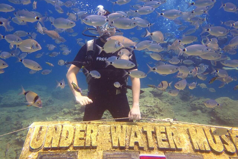 Side: Underwater Museum Scuba Diving Tour with Expert Diving Museum Scuba Diving Tour with Hotel Transfer