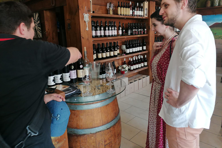 Bratislava: A Fairy Tale Day in Moravia’s Wine Country - CZ Private Group - from Bratislava