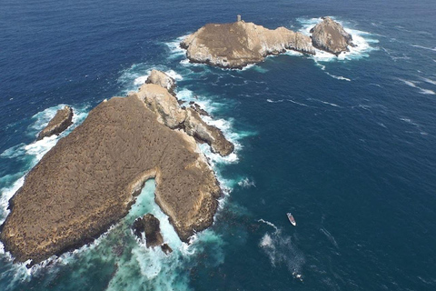 Lima: Tour a Isla Palomino Aventura Marina