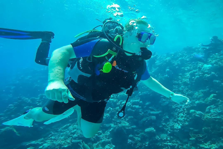 From Sharm: Luxury Diving cruise to Ras Mohammed with Lunch 1 professional dive with pickup and lunch