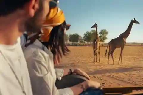 Von Riyadh aus: Private Tagestour zum Nofa Wildlife Park
