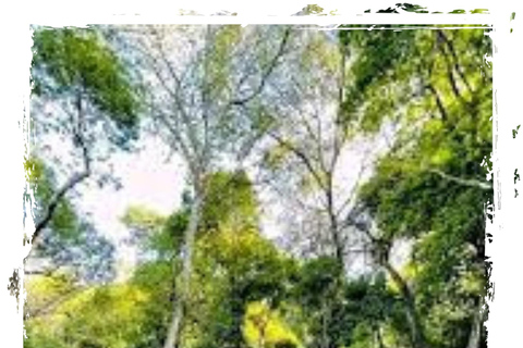 Addis Abeba: 7-dniowa wycieczka do parków narodowych Chebera i Maze