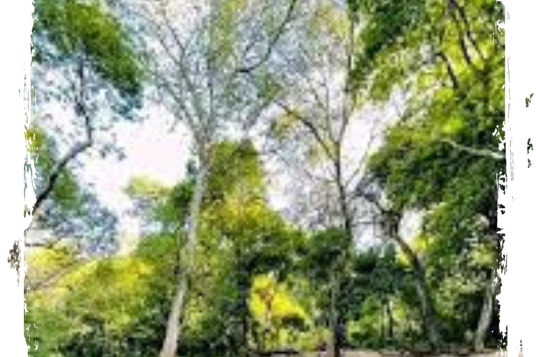 Addis Abeba: 7-dniowa wycieczka do parków narodowych Chebera i Maze