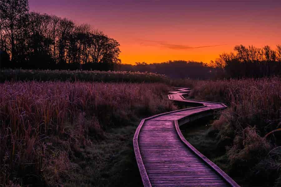 New York City: Private Wandertour durch die Appalachian Mountains. Foto: GetYourGuide New York City: Private Wandertour durch die Appalachian Mountains. Foto: GetYourGuide
