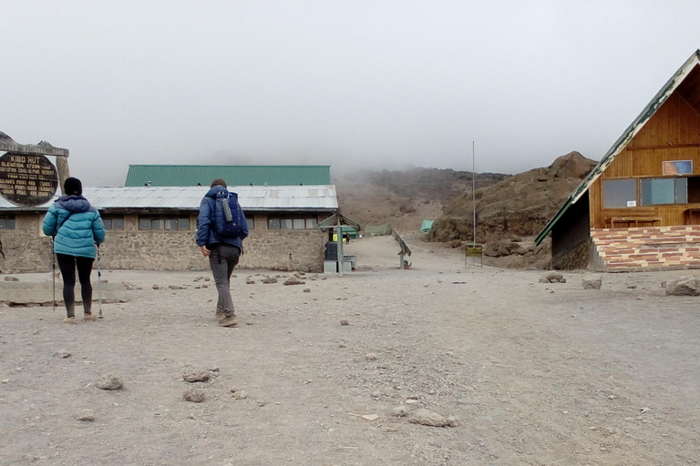 Kilimanjaro: 8 dias de caminhada na Rota de Lemosho