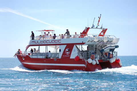 Gran Canaria Dolphin Safari and a swim