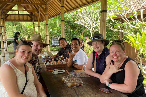 Ubud: Private Half-Day Tour Rice Terrace, Temple & Waterfall Private Half-Day Tour (With Entrance Tickets)